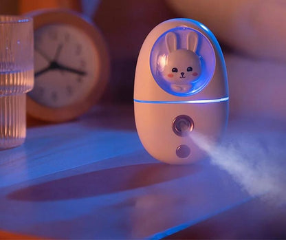 humidificateur visage