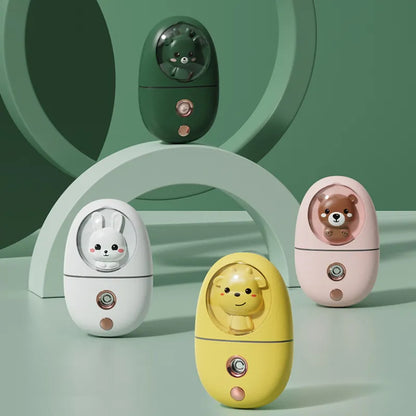 vaporisateur visage