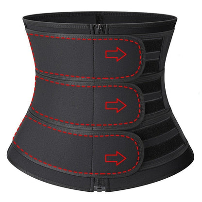 ceinture dorsale