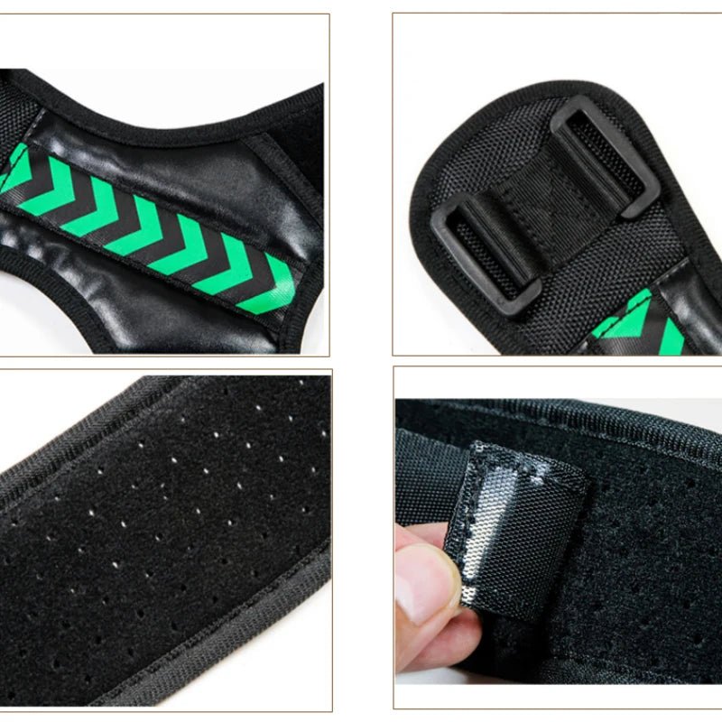 ceinture dorsale