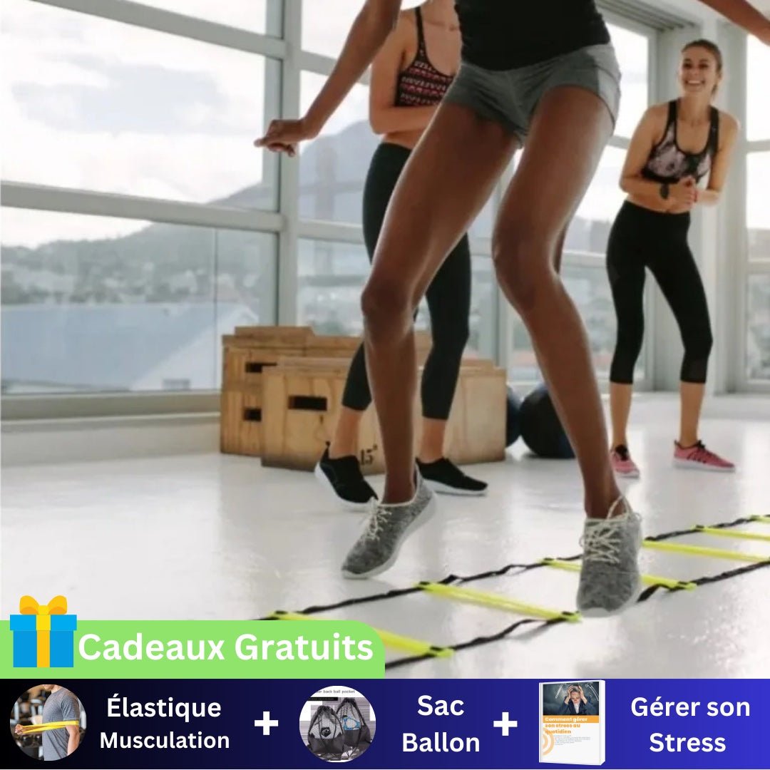 Échelle d'Agilité | AgilityTraining™ - let's go sport